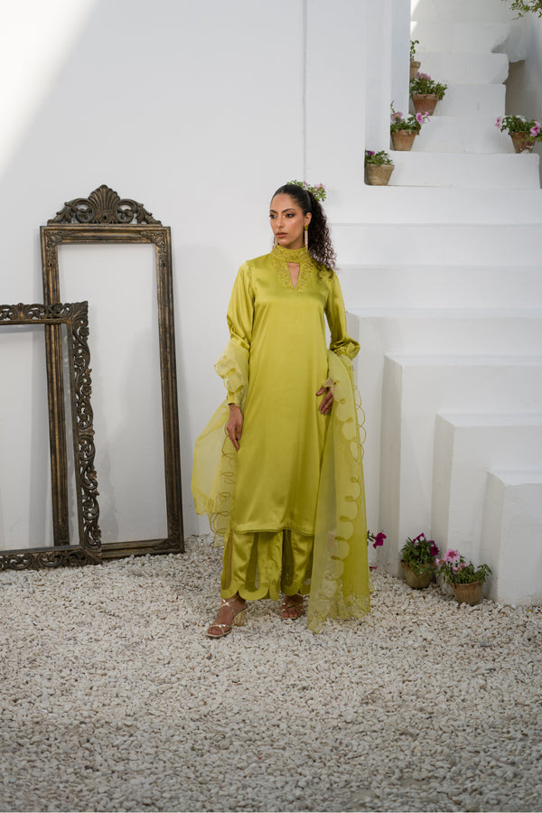 Merina Sab Green EMBROIDERED SILK SHIRT WITH PANT